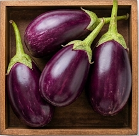 Purple Brinjal